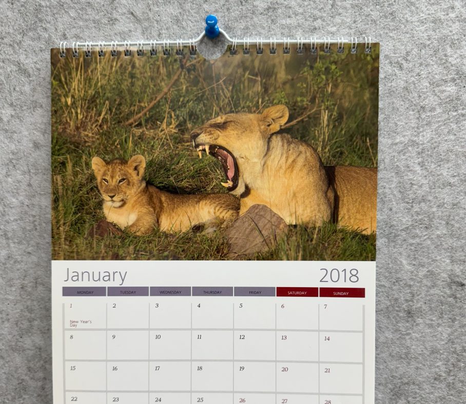 A4 portrait wire + hanger 13 leaf calendar classic