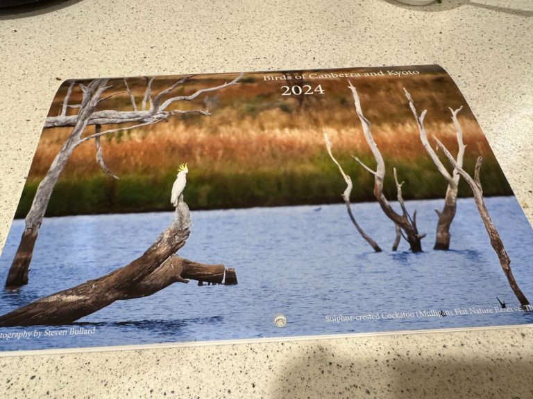 A4 Saddle Stitched calendar image 2